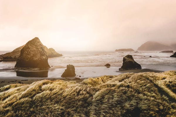 Adventure: Grassy Dunes Pacific Coast Beach by Nature Magick