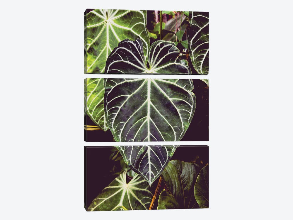 Green Jungle Leaf Adventure by Nature Magick 3-piece Canvas Print