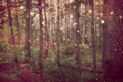 Magical Vintage Pacific Northwest Rainforest by Nature Magick framed canvas print