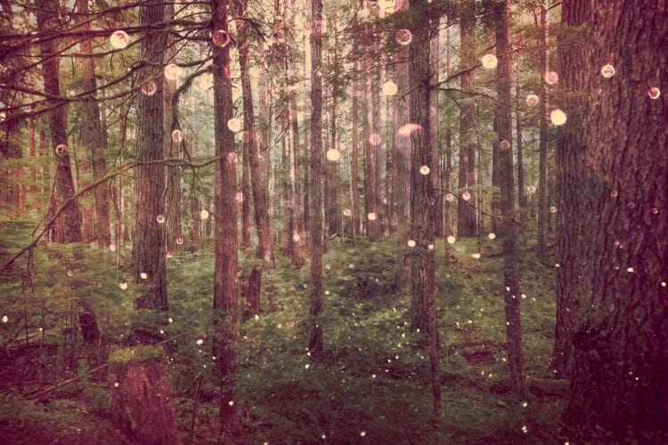 Magical Vintage Pacific Northwest Rainforest by Nature Magick wall art