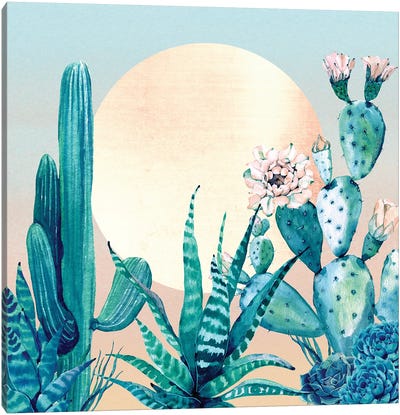Desert Dawn Cactus I Canvas Art Print - Nature Magick