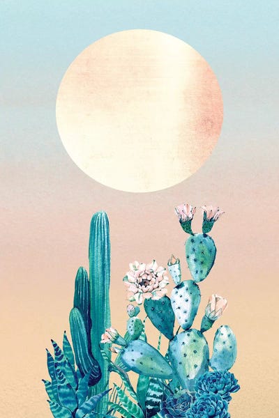 Desert Dawn Cactus II by Nature Magick framed canvas print