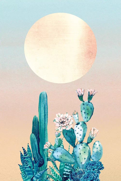 Desert Dawn Cactus II by Nature Magick wall art