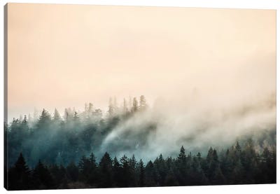 Misty Mountain Forest Clouds Canvas Art Print - Nature Magick