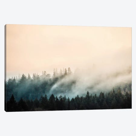Misty Mountain Forest Clouds Canvas Print #MGK375} by Nature Magick Canvas Print
