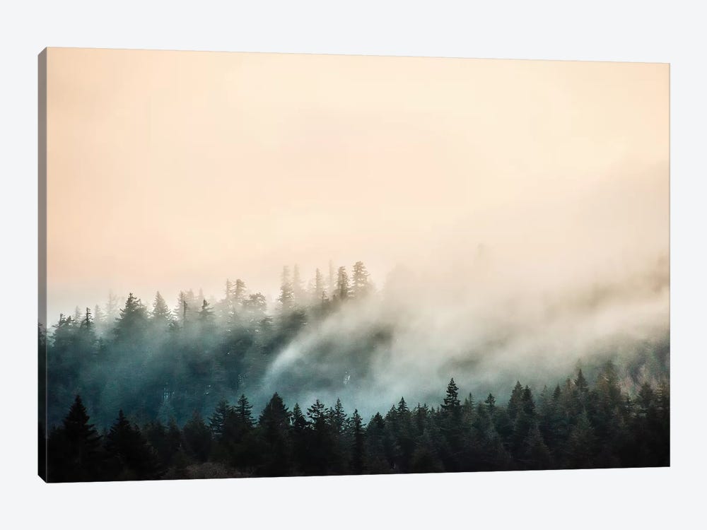 Misty Mountain Forest Clouds by Nature Magick 1-piece Canvas Wall Art