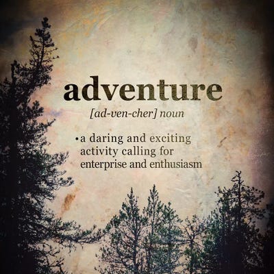 In Adventure Dictionary Definition Forest Square by Nature Magick framed wall art