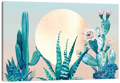 Desert Dawn Cactus III Canvas Art Print - Nature Magick
