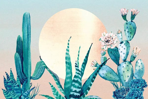 Cacti: Desert Dawn Cactus III by Nature Magick