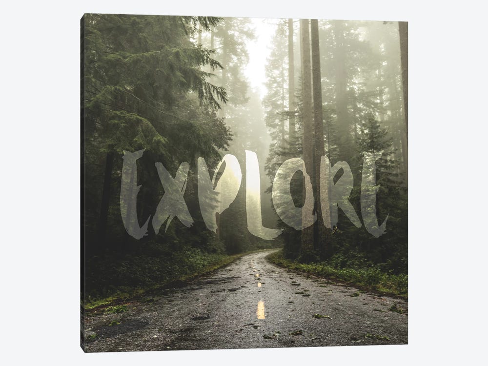 In Explore Redwood Forest Road Square by Nature Magick 1-piece Canvas Art
