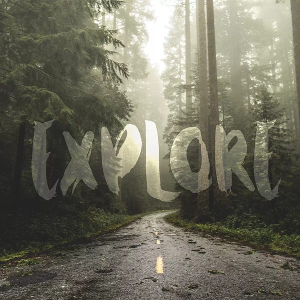 Exploration: In Explore Redwood Forest Road Square by Nature Magick