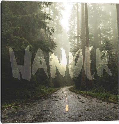 In Wander Redwood Forest Road Canvas Art Print - Nature Magick