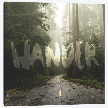 In Wander Redwood Forest Road Canvas Print #MGK385} by Nature Magick Canvas Art