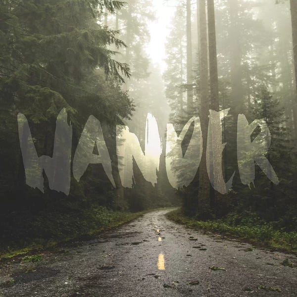 Exploration: In Wander Redwood Forest Road by Nature Magick