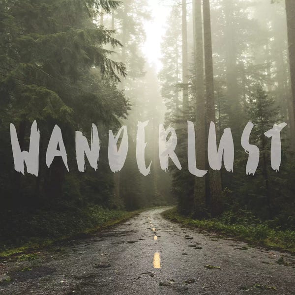 Exploration: In Wanderlust Redwood Forest Road by Nature Magick