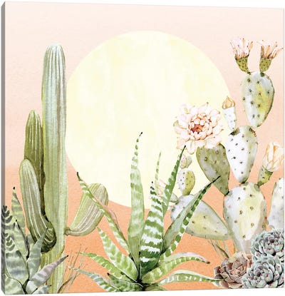 Desert Days I Canvas Art Print - Nature Magick