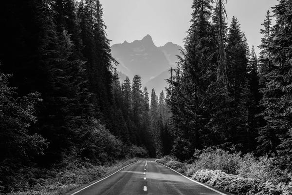 Adventure: Mountain Road Black and White Unicorn Peak by Nature Magick