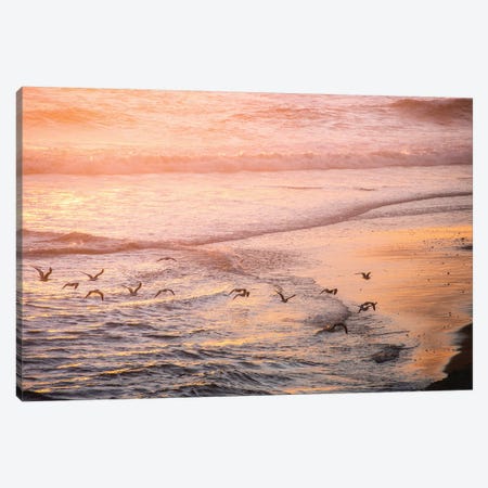 Ocean Beach and Sunset Seagulls Canvas Print #MGK399} by Nature Magick Canvas Wall Art