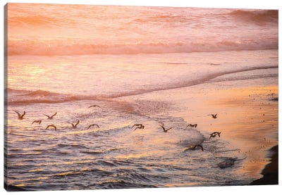 Ocean Beach and Sunset Seagulls Canvas Art Print - Nature Magick