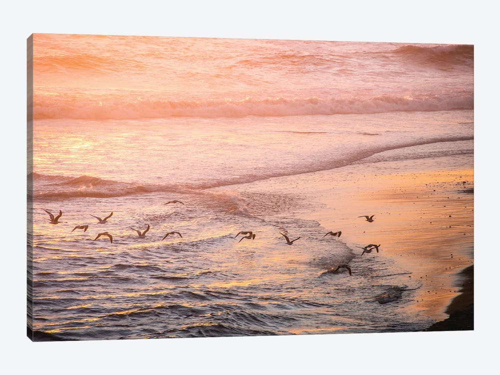 Ocean Beach and Sunset Seagulls by Nature Magick 1-piece Canvas Art