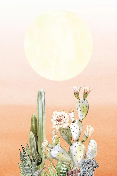 Cacti: Desert Days II by Nature Magick