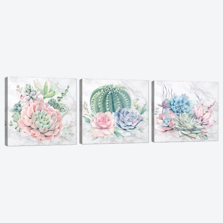 Desert Succulents Triptych Canvas Print Set #MGK3HSET001} by Nature Magick Canvas Wall Art