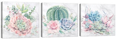 Desert Succulents Triptych Canvas Art Print - Art Sets | Triptych & Diptych Wall Art