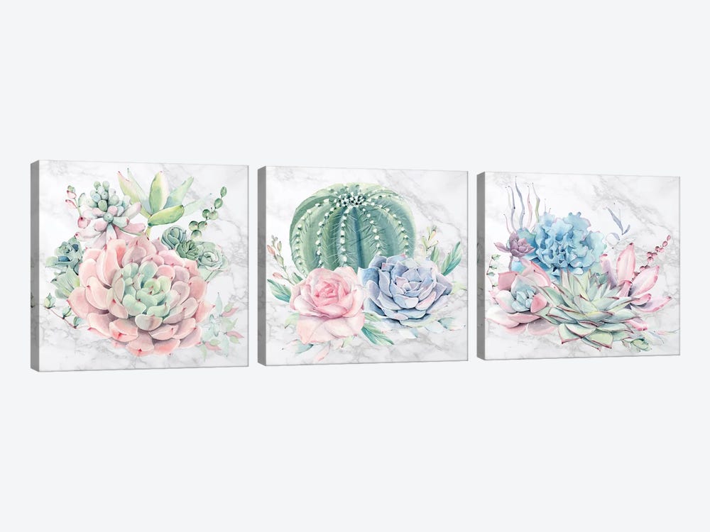 Desert Succulents Triptych by Nature Magick 3-piece Art Print