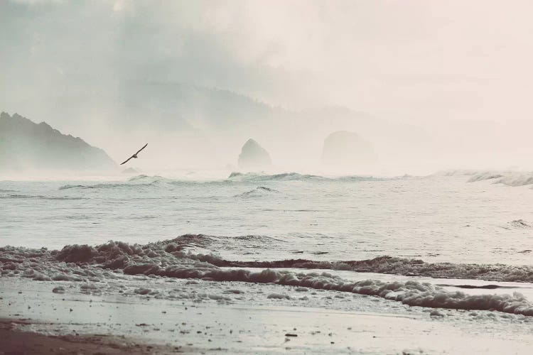 Pacific Dreams Ocean Landscape by Nature Magick wall art