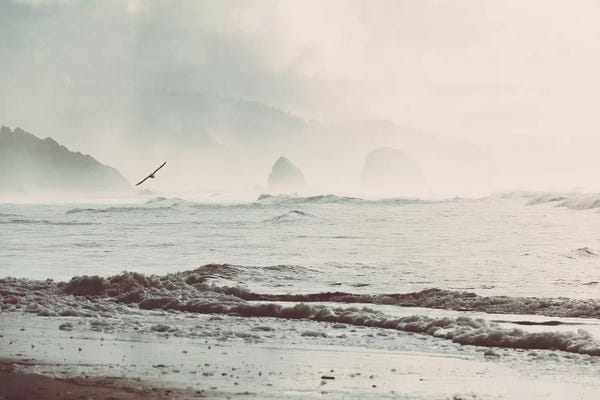 Nature Magick: Pacific Dreams Ocean Landscape by Nature Magick