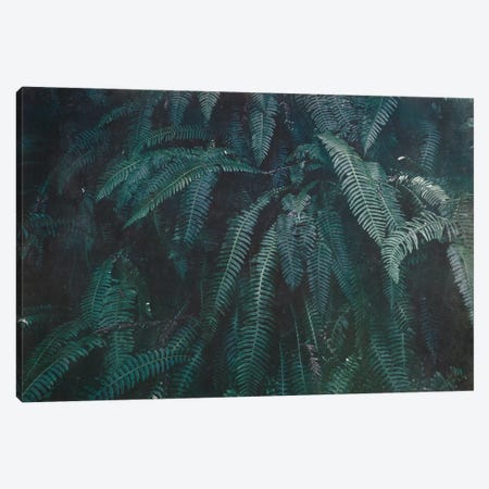 Pacific Northwest Fern Forest Vintage Green Canvas Print #MGK405} by Nature Magick Canvas Print