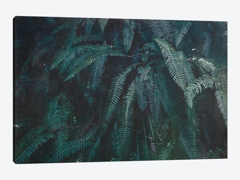 Pacific Northwest Fern Forest Vintage Green by Nature Magick 1-piece Canvas Wall Art