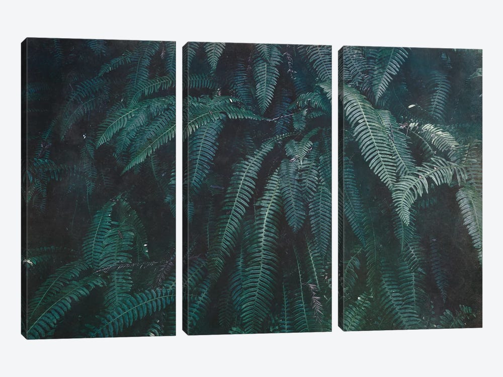 Pacific Northwest Fern Forest Vintage Green by Nature Magick 3-piece Canvas Artwork