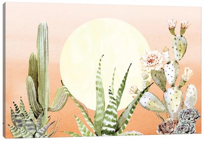 Desert Days III Canvas Art Print - Cactus Art