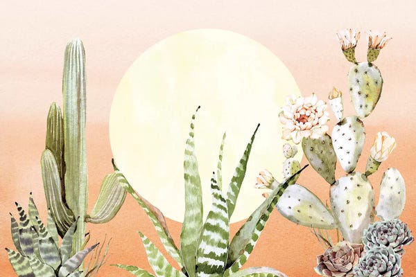 Succulents: Desert Days III by Nature Magick