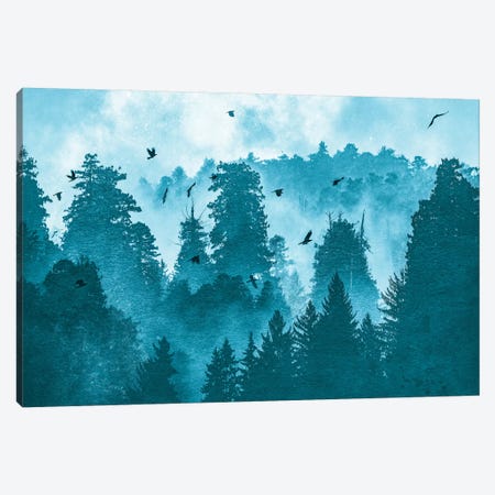 Raven Redwood Forest Blue Canvas Print #MGK413} by Nature Magick Art Print