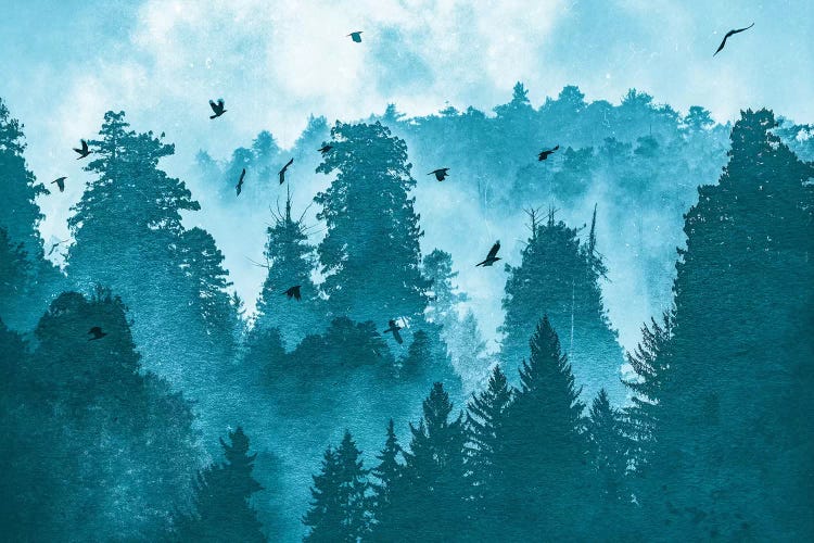 Raven Redwood Forest Blue by Nature Magick wall art