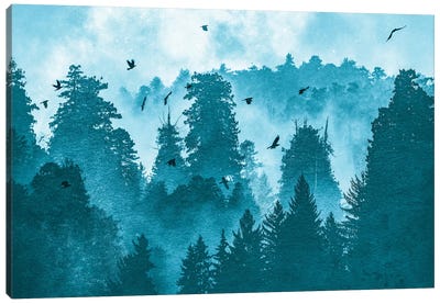 Raven Redwood Forest Blue Canvas Art Print - Raven Art