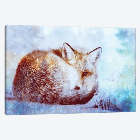 Red Fox Winter Turquoise Forest Animal Portrait Canvas Print #MGK414} by Nature Magick Canvas Artwork