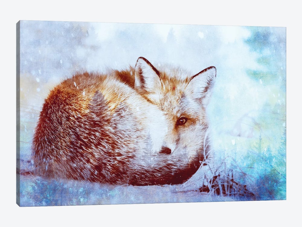Red Fox Winter Turquoise Forest Animal Portrait by Nature Magick 1-piece Canvas Artwork