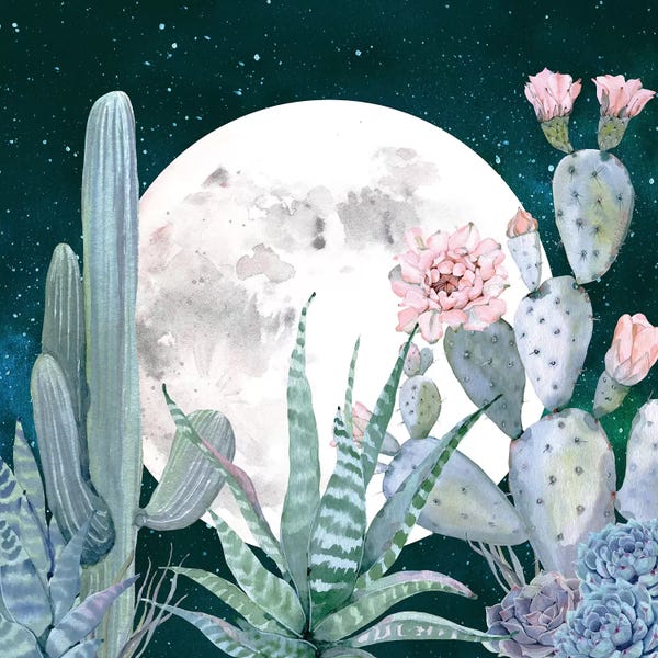 Cacti: Desert Nights I by Nature Magick