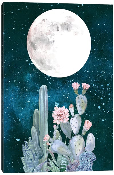 Desert Nights II Canvas Art Print - Nature Magick