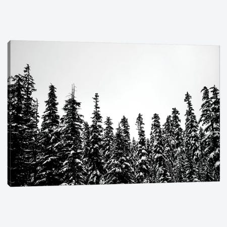 Snow Covered Forest Treescape II Canvas Print #MGK434} by Nature Magick Canvas Art
