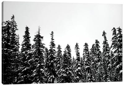 Snow Covered Forest Treescape II Canvas Art Print - Nature Magick