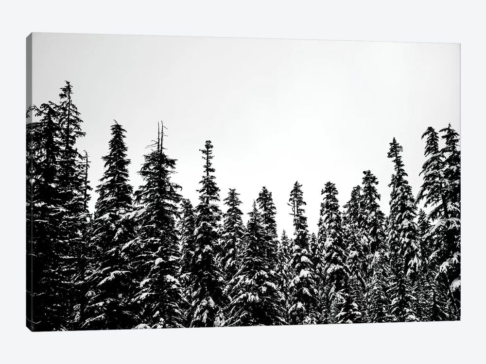 Snow Covered Forest Treescape II by Nature Magick 1-piece Canvas Art