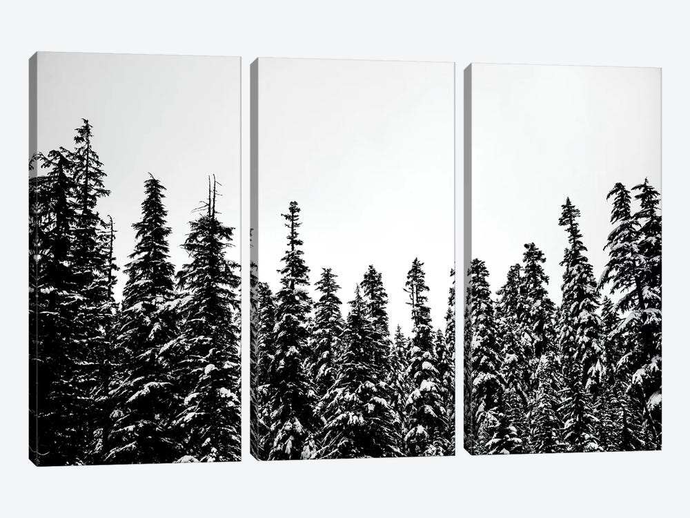 Snow Covered Forest Treescape II by Nature Magick 3-piece Canvas Wall Art
