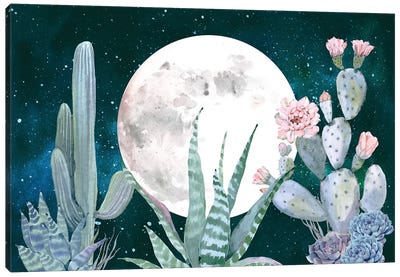 Desert Nights III Canvas Art Print - Cactus Art