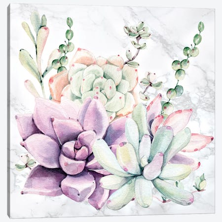 Southwest Succulents Floral Watercolor on Marble Canvas Print #MGK442} by Nature Magick Canvas Art