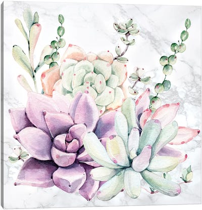 Southwest Succulents Floral Watercolor on Marble Canvas Art Print - Nature Magick
