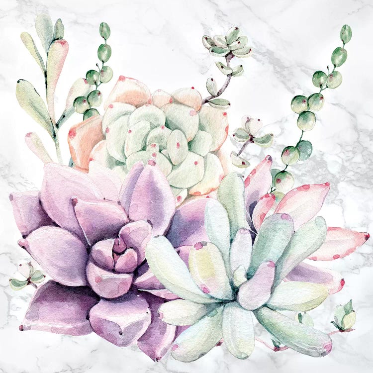 Southwest Succulents Floral Watercolor on Marble